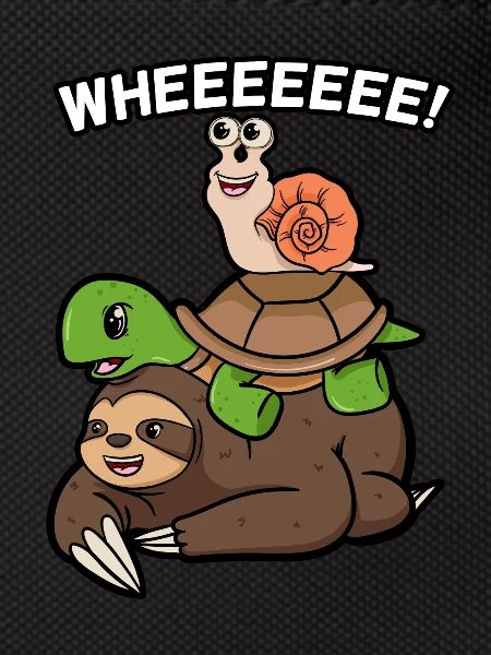 Turtle snail and sloth