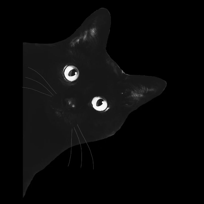 Katze