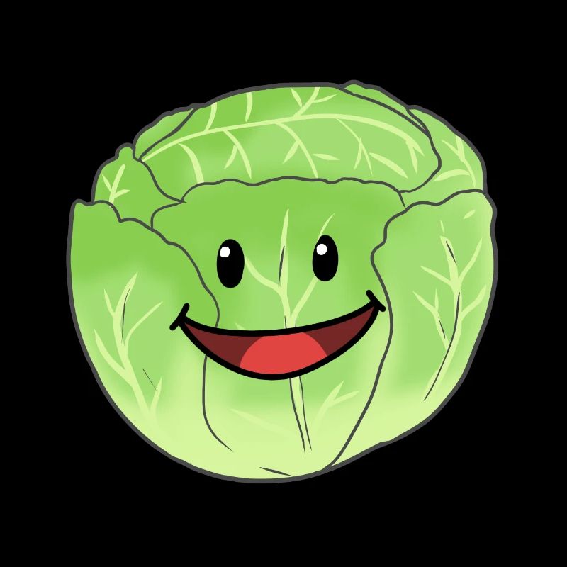 White Cabbage Vegetable Cabbage Head Cabbage Food Vegan