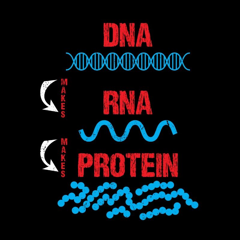Molecular Biologist DNA RNA Protein Cell Biology