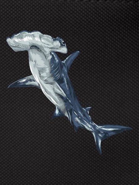 Requin, requin