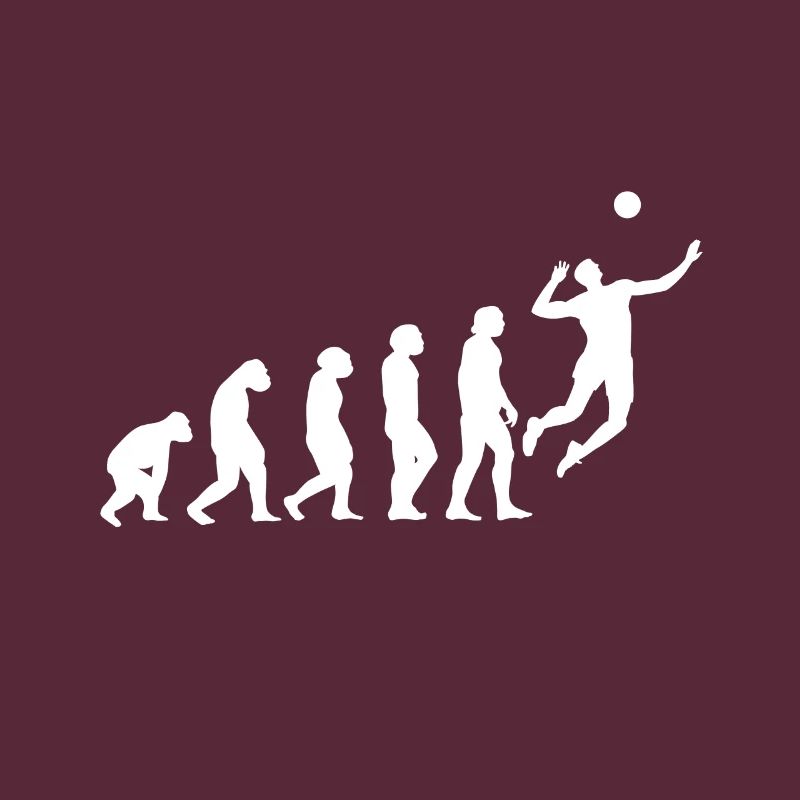 Volleyball Evolution