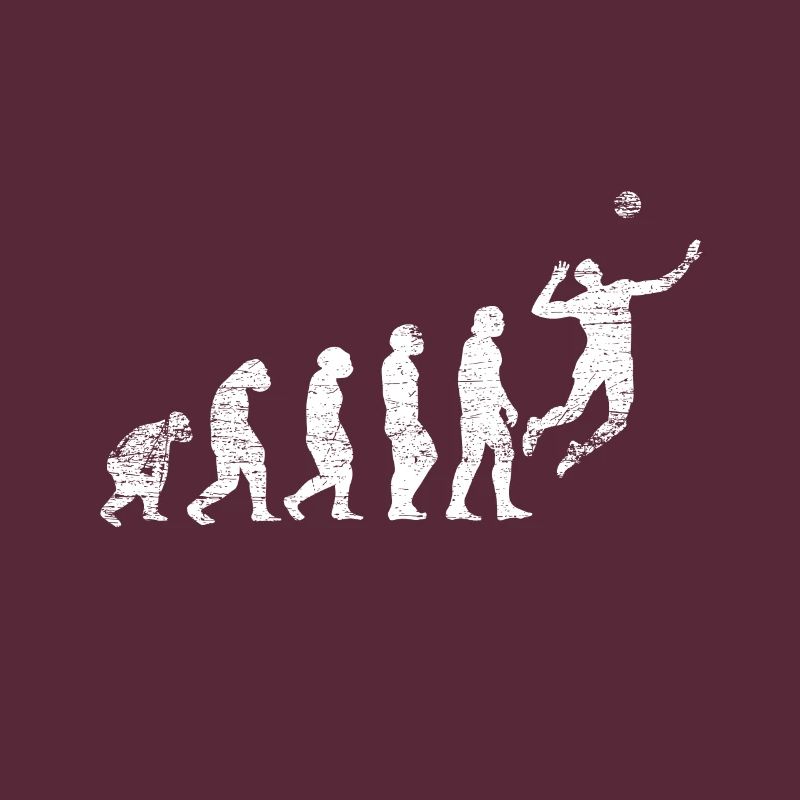 Evolution Volleyball