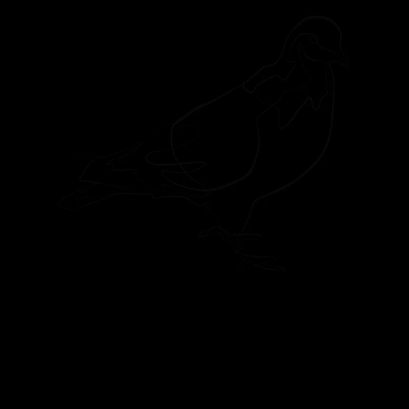 Brieftaube - one line drawing