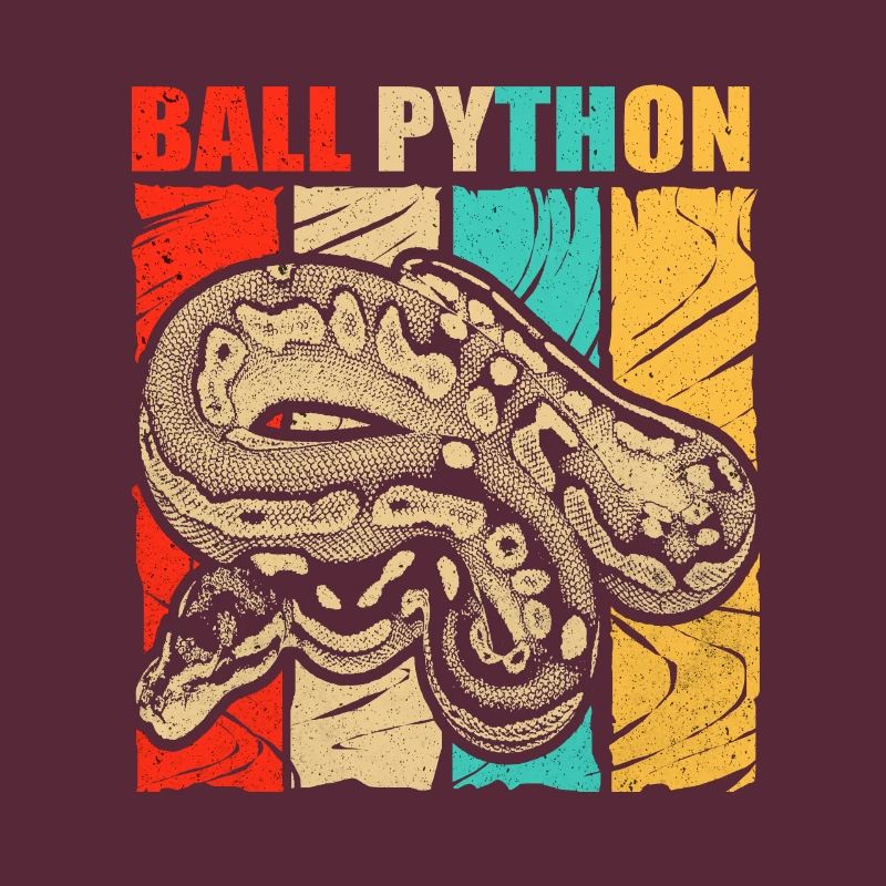 Python