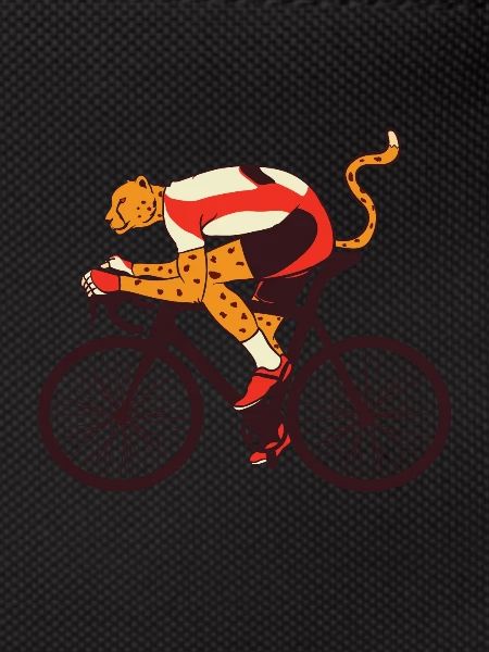 vélo