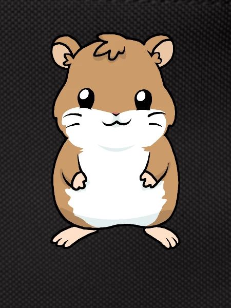 Petit bébé hamster