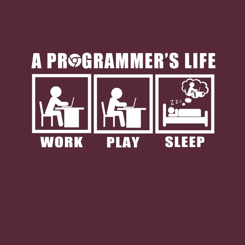 Das Leben eines Programmierers Spruch Geschenkidee