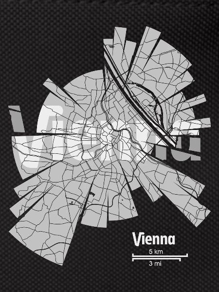 Vienna (Vienne) plan