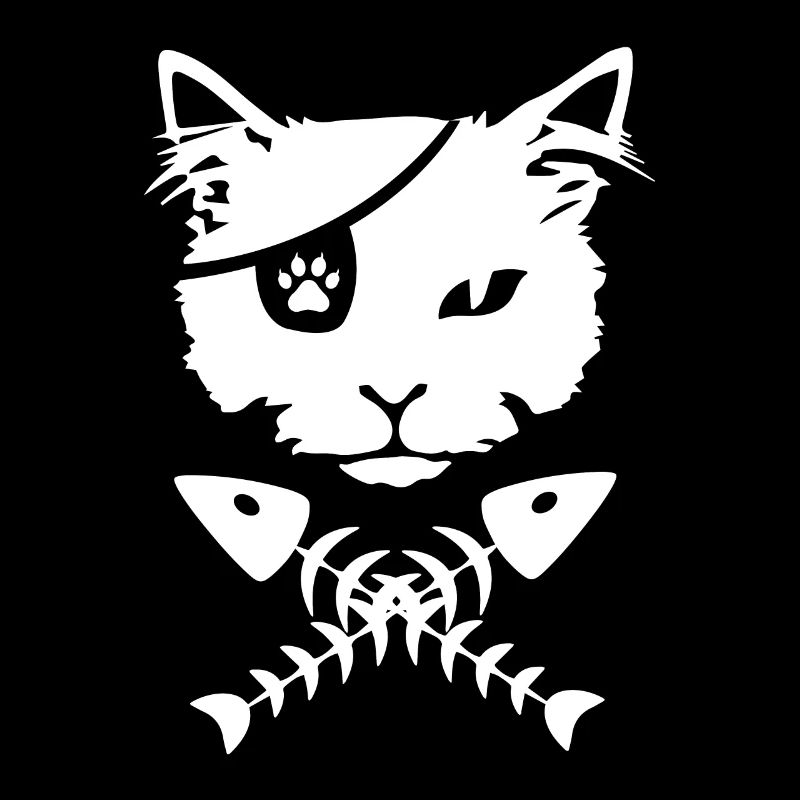 Pirate cat