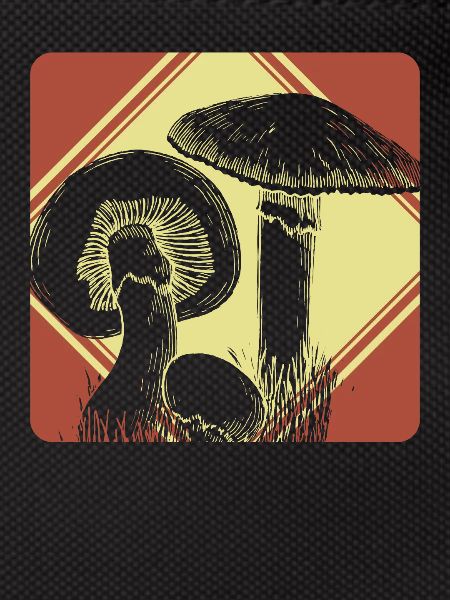 Champignons