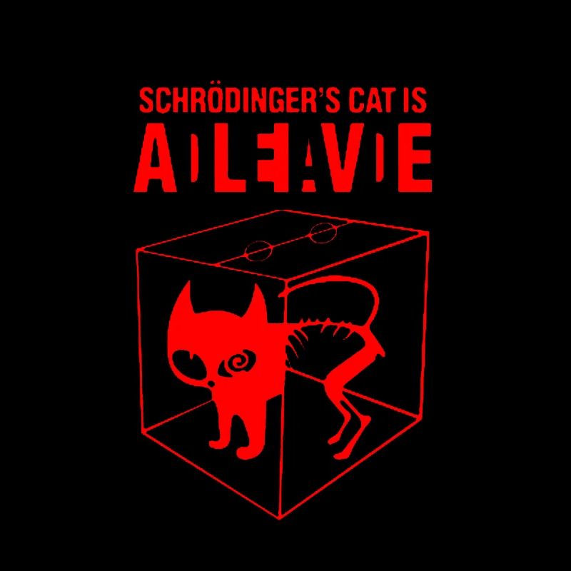 Chat de Schrödinger