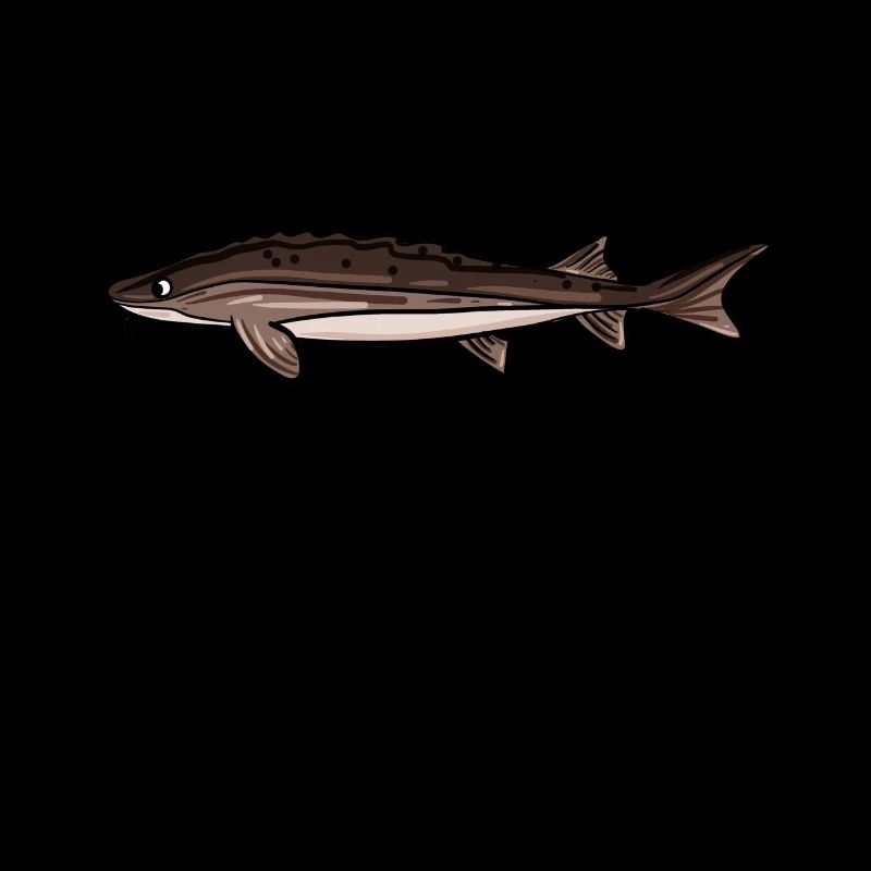 Pêche à l'esturgeon