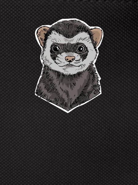 ferrets