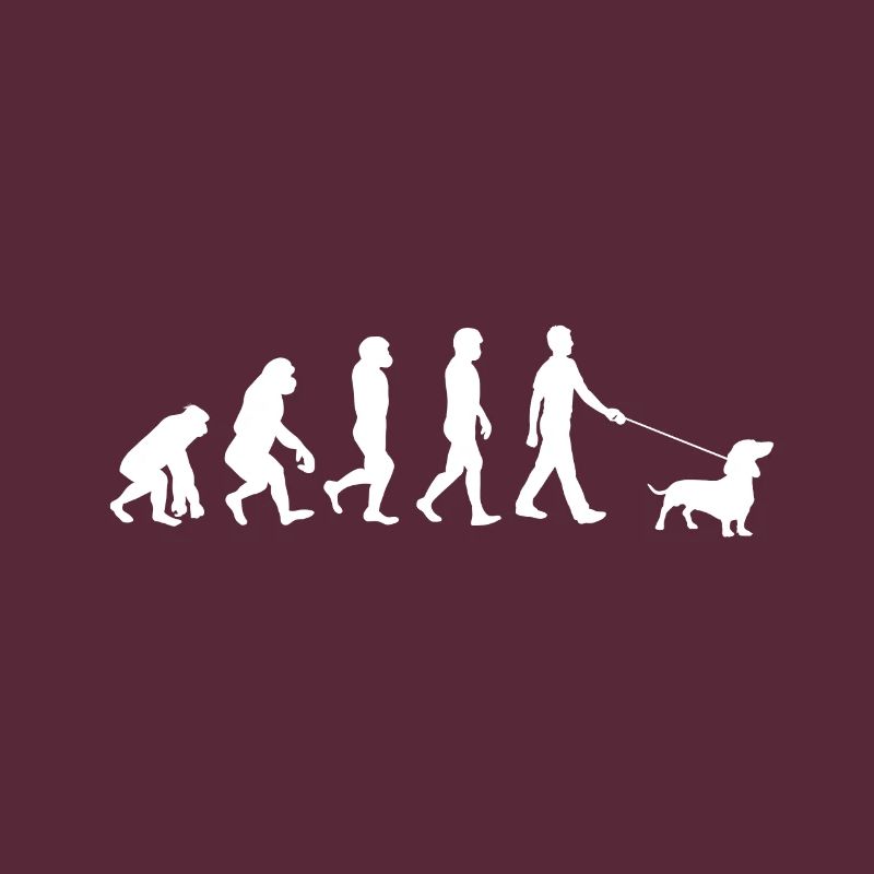 Dackel Evolution