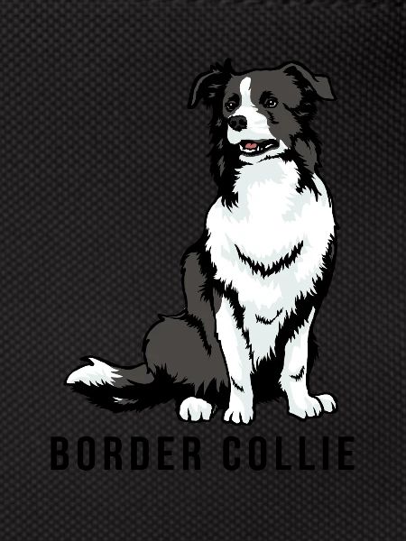 Border collie