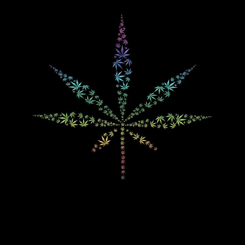 Cannabis Chanvre