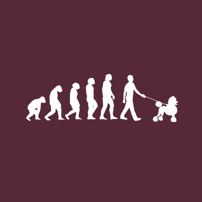 Evolution Pudel