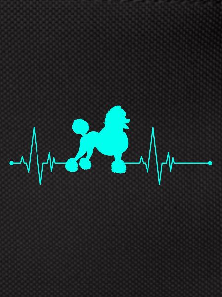 Poodle heartbeat