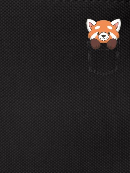 Panda dans le sac
