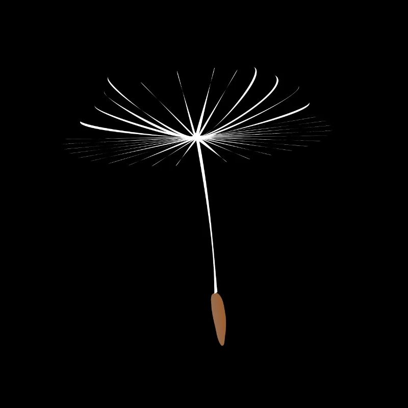Pusteblume Samen & Löwenzahn Sporen Geschenk