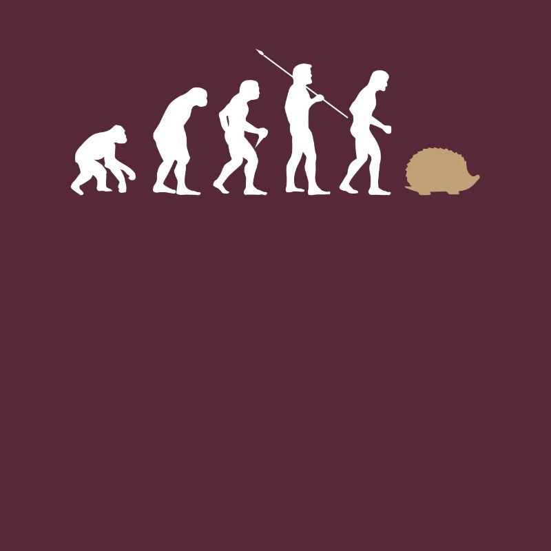 Évolution hérisson