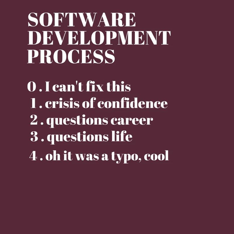 Softwareentwicklung Funny Coding Programming