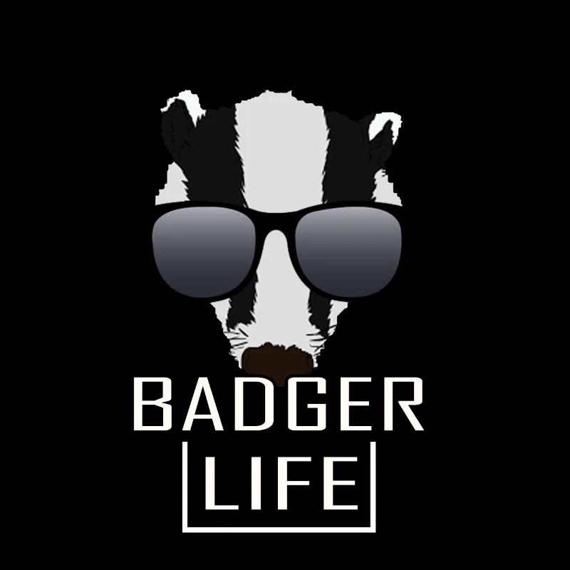 Honig Dachs Honig Dachs Wald Wildtier