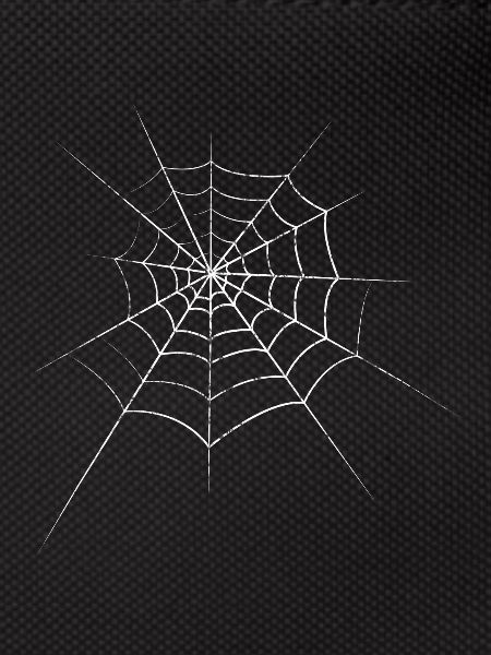 Spider cobweb
