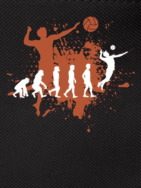 Volleyball