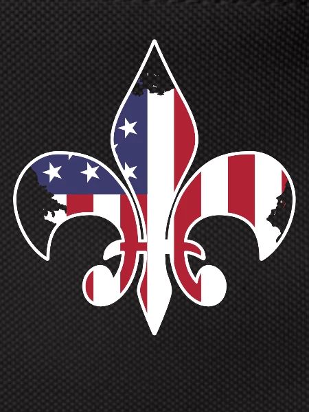 Scouting USA flag