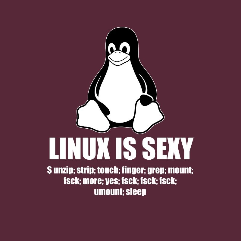 Linux Root SUDO Unix Shell Sexy funny gift