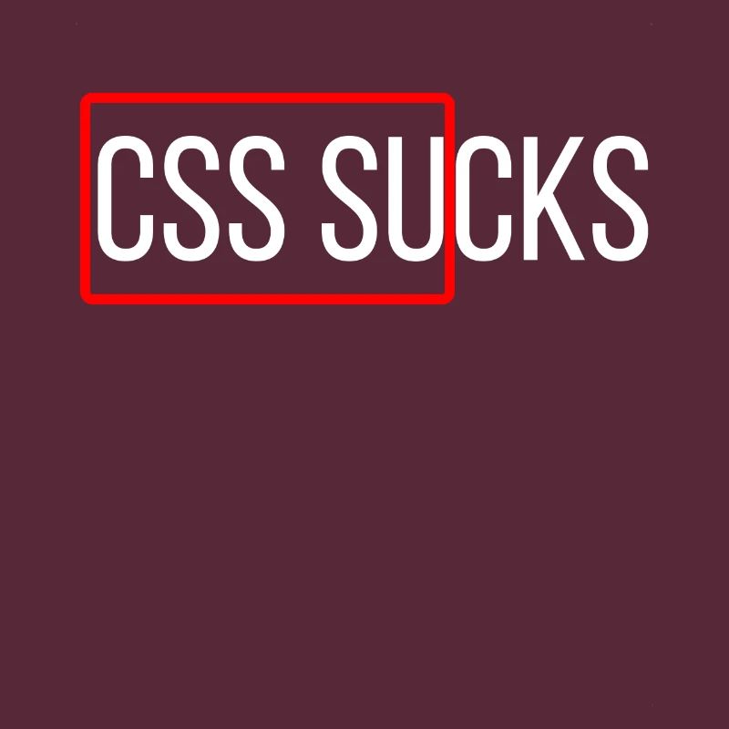 CSS suce programmation CSS drôles programmeurs