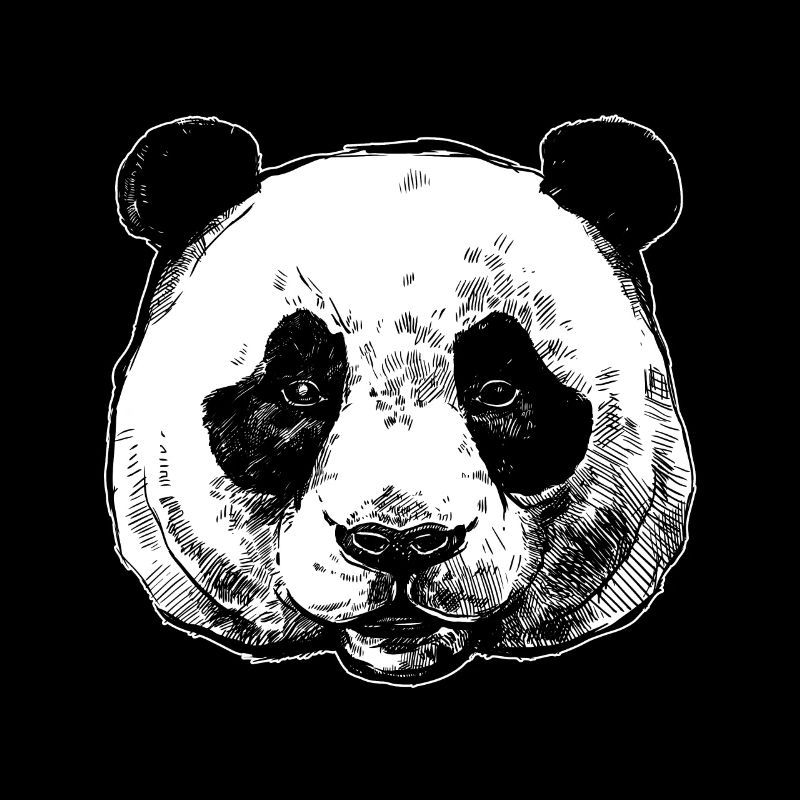 Panda bear