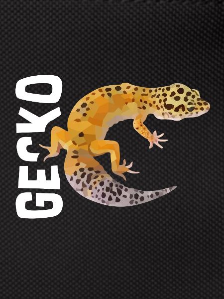 Gecko