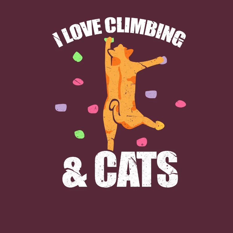 Climber bouldering climber climbing cat
