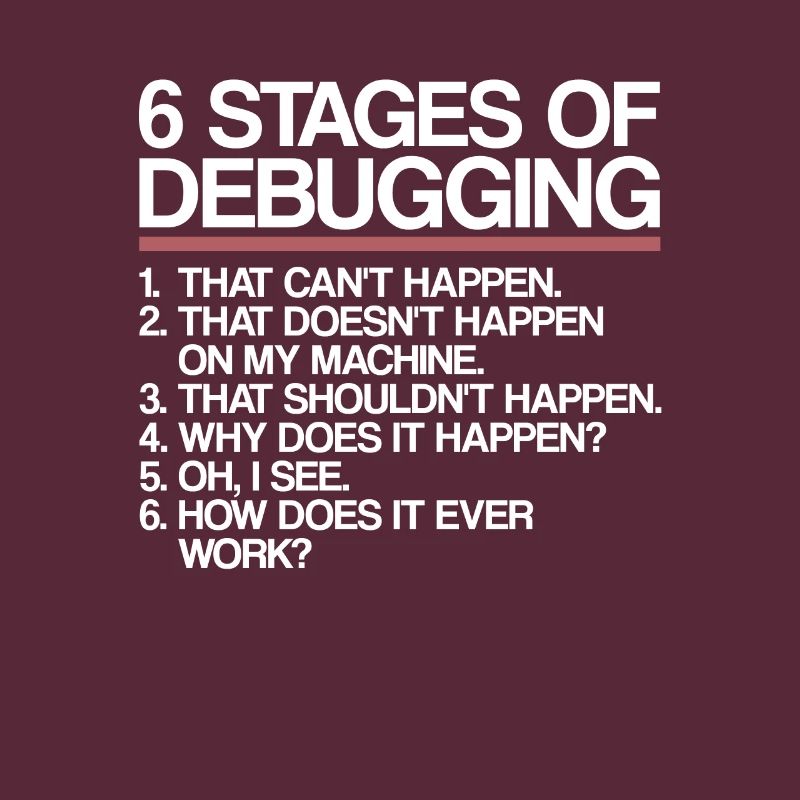 6 Stages of Debugging | Programmer, computer science