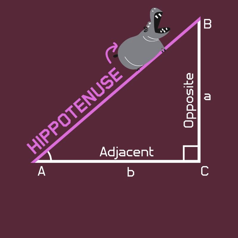 Funny Math Nerd Hippotenuse Joke Gift Design Idea