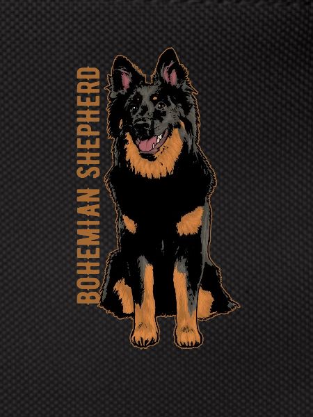 Bohemian Shepherd