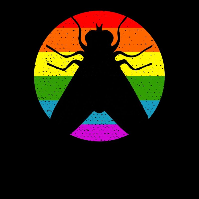 Rainbow fly