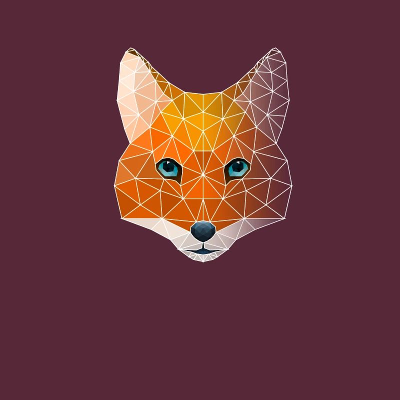 Polygon geometry fox