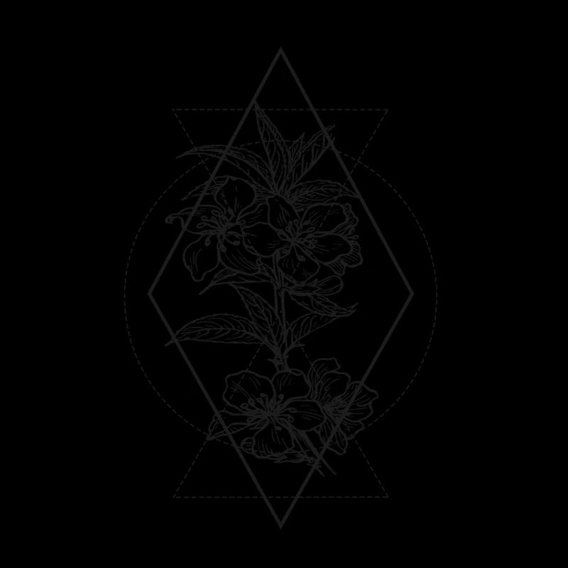 Plant with geometry