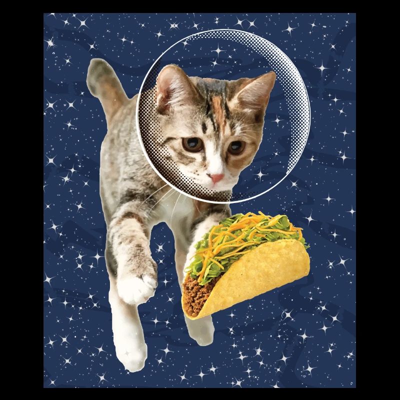 Chat et taco