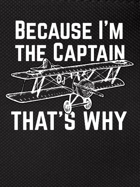 Pilot plane gift