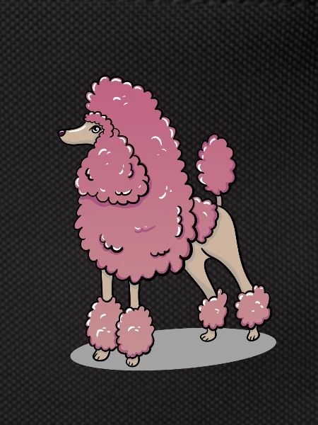Poodle