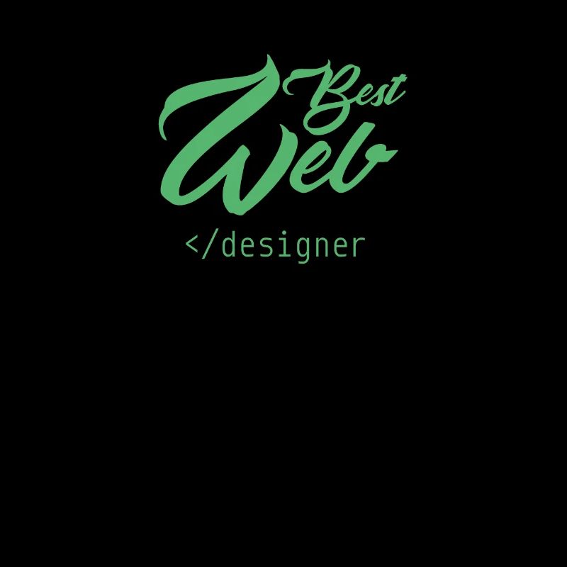 Web Entwickler