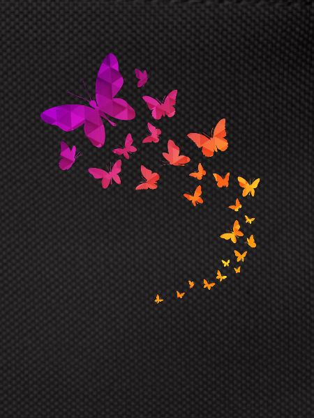 Butterflies Geometric