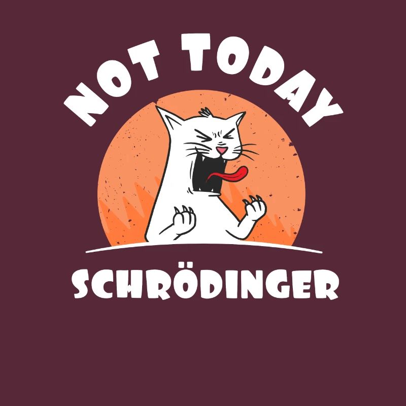 Physics Physicist Student