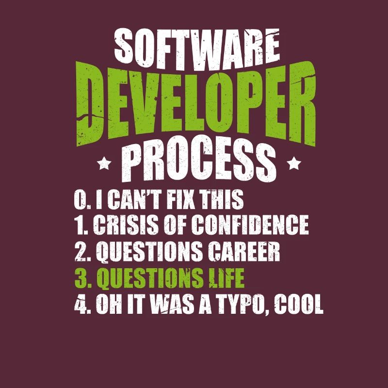 Software developer programmer software