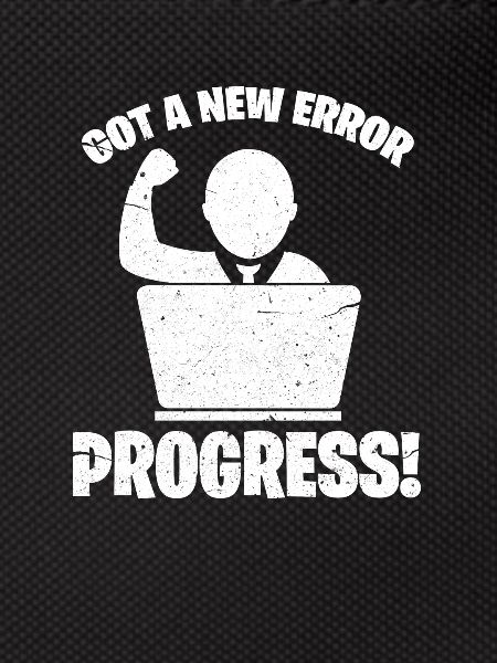 software developer